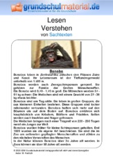 Bonobo - Sachtext.pdf